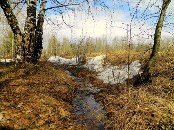 Весенние ручьи