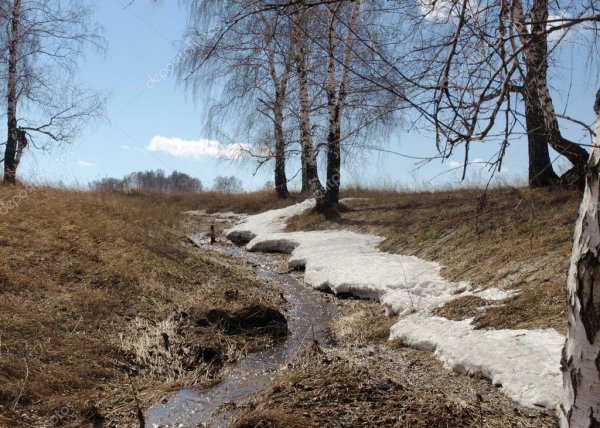 Бегут весенние ручьи