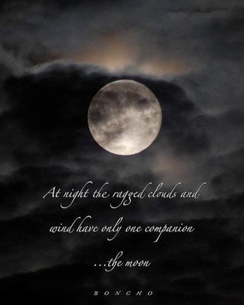 Красивые высказывания о Луне