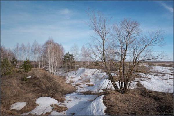 Овраг весной