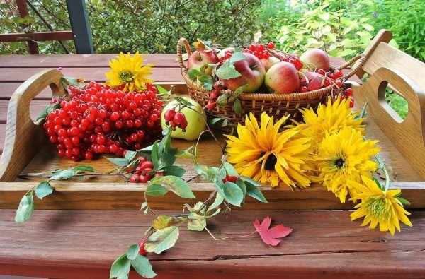 Доброго осеннего понедельника и хорошего настроения