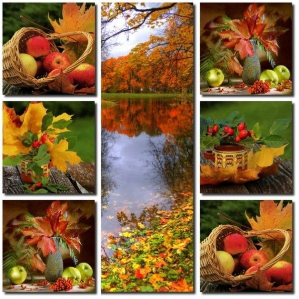 Фотоколлаж краски осени