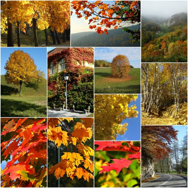 Фотоколлаж осень