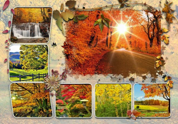 Коллаж осень