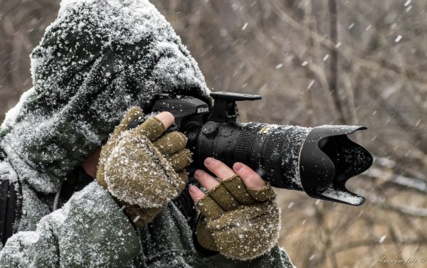 Фотокамера в снегу