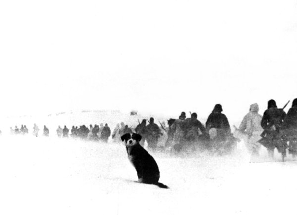 Боёв зимой 1942 года под Сталинградом