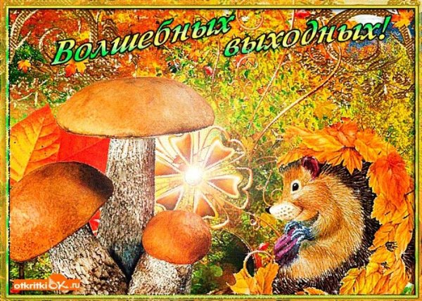 Прекрасных осенних выходных