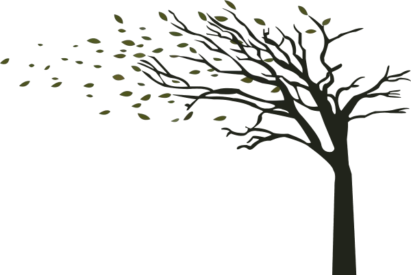 Ветка дерева вектор