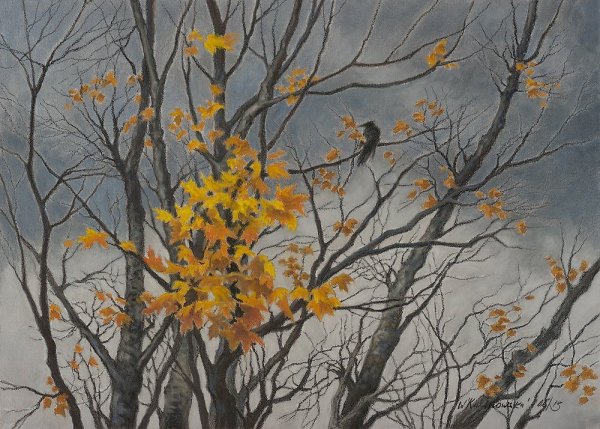 Деревья с облетевшей листвой