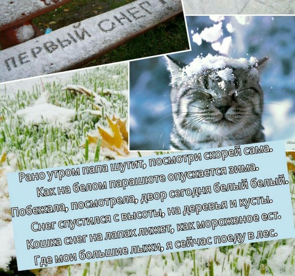 Первый снег стих