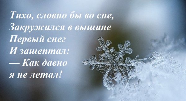 Стих про первый снег короткие