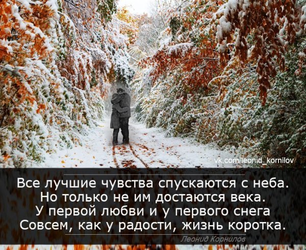 Афоризмы про снегопад