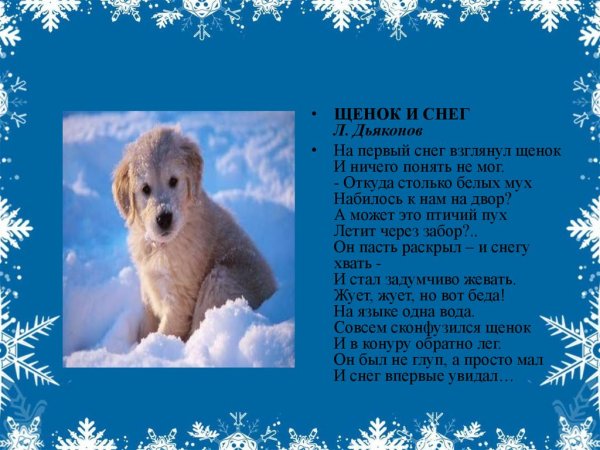 Стих на первый снег взглянул щенок и ничего понять не мог