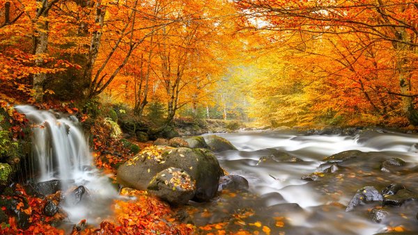 Экранные заставки осень