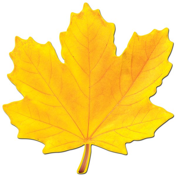 Кленовый лист желтый