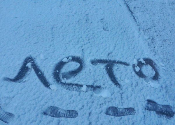 Снег летом картинки