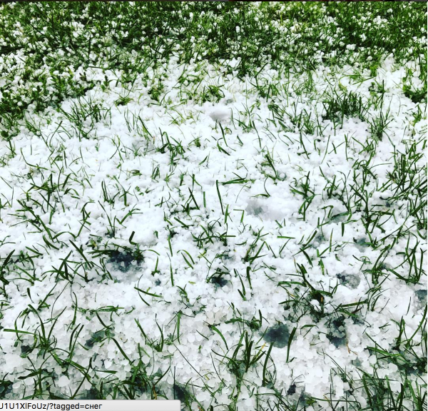 2 Июня 2017 в Москве выпал снег