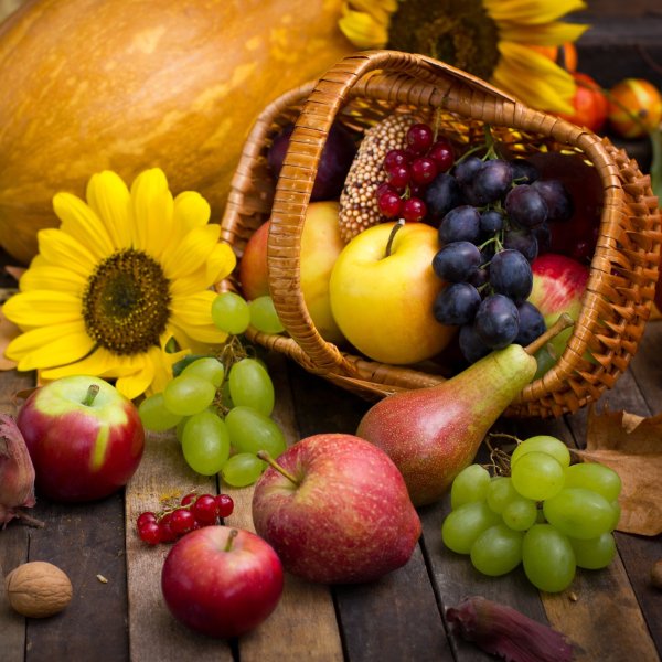 Натюрморт урожай