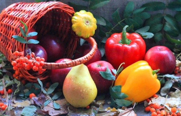 Осенние дары