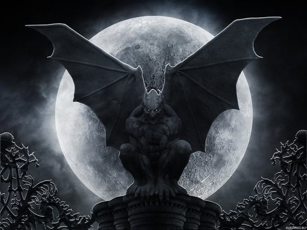 Дракула летучая мышь Гаргулья