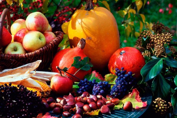 Осень фрукты
