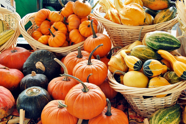 Овощи и фрукты осенью