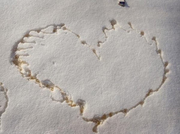 Сердечко на снегу мочой