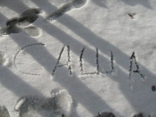 Надпись мочой на снегу