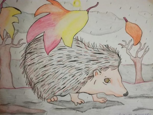 Рисунки осени для срисовки