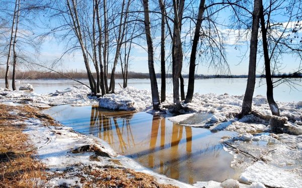 Ранняя Весна фото