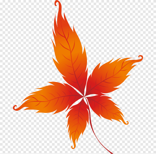 Осенние листья рисунок
