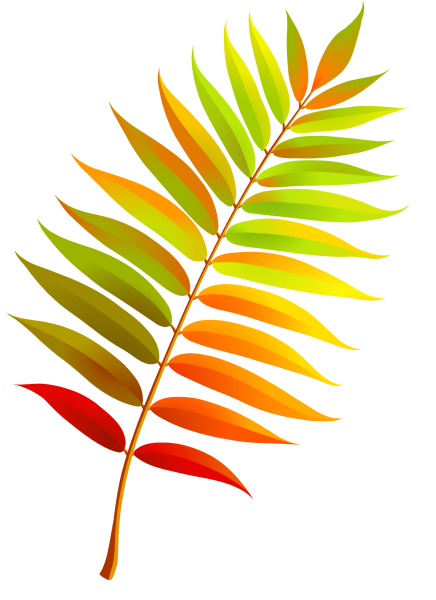 Лист рябины