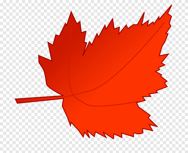 Красный листочек