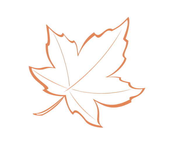 Кленовый лист контур