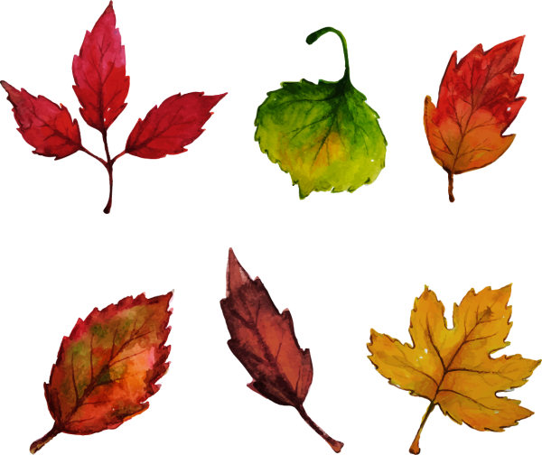 Осенние листья рисунок