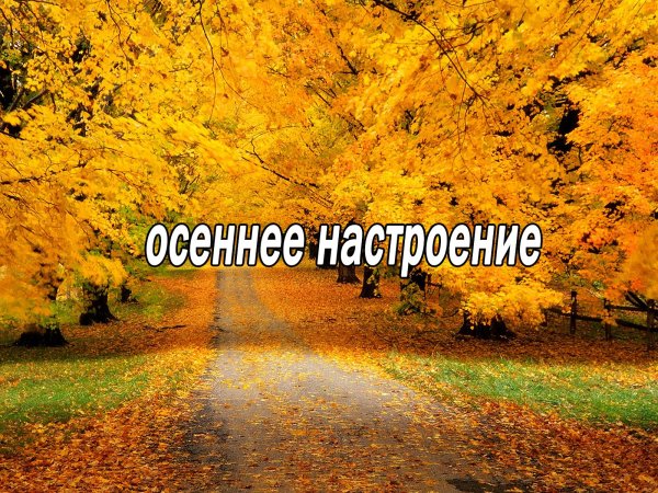 С добрым осенним утром субботы