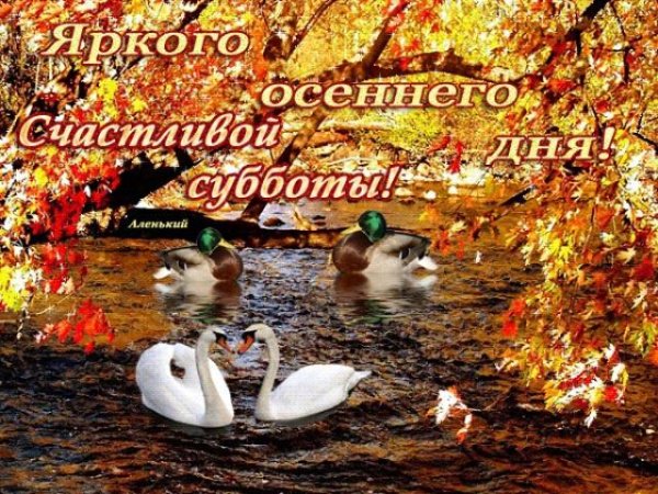 Хорошего выходного дня осень