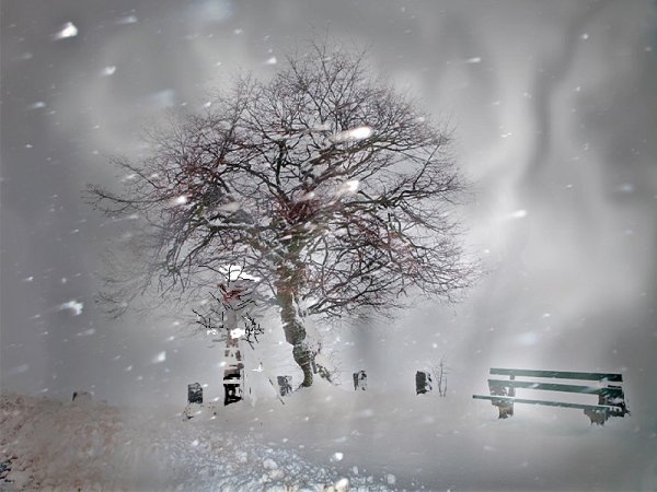 Сильный зимний ветер