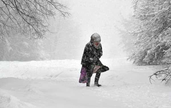 Сильный ветер зима