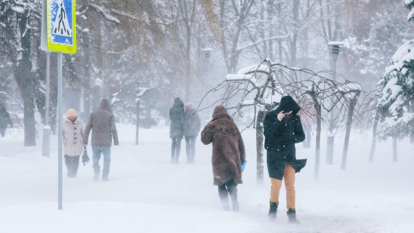 Сильный ветер зимой
