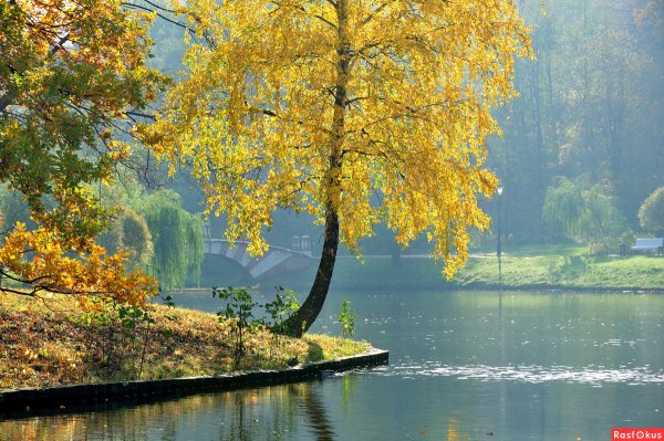 Солнечный осенний пейзаж