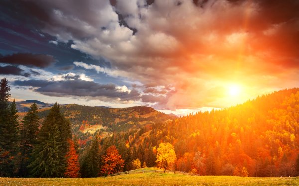 Осень солнце