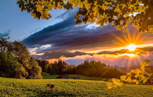 Осень солнце