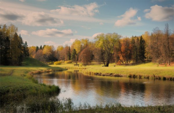 Солнечный осенний денек