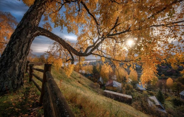 Плес Золотая осень