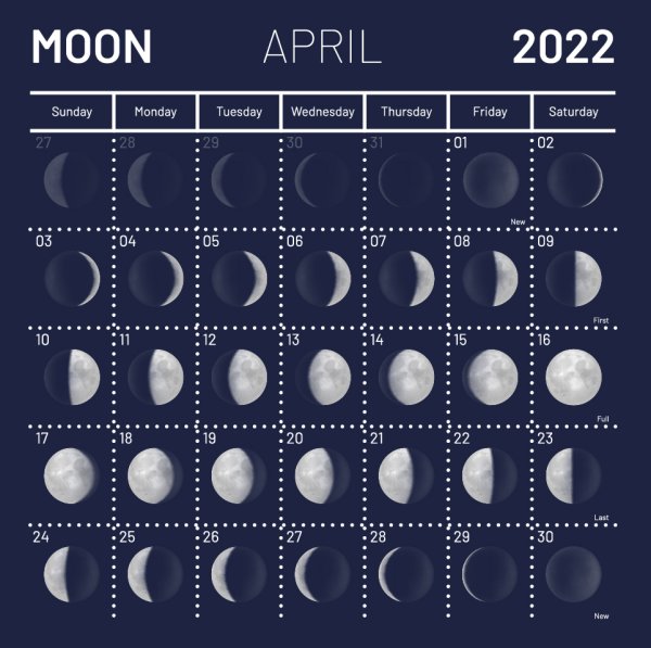 Лунный календарь на октябрь садовода и огородника на 2022