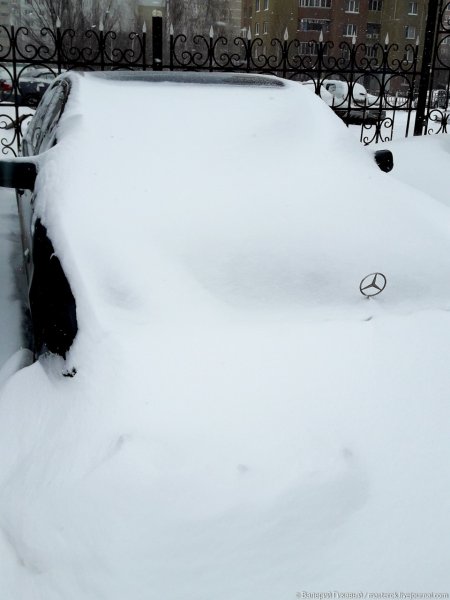 Снег по колено