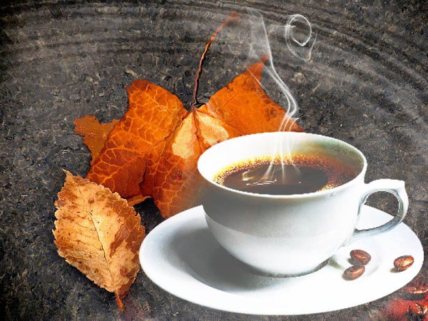 Осень солнце кофе