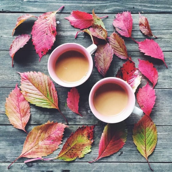 Утро кофе осень