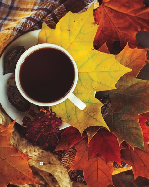 Осень кофе